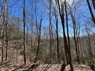 Lot 4 Sunset Vista Trail #4, TOPTON, North Carolina image 2