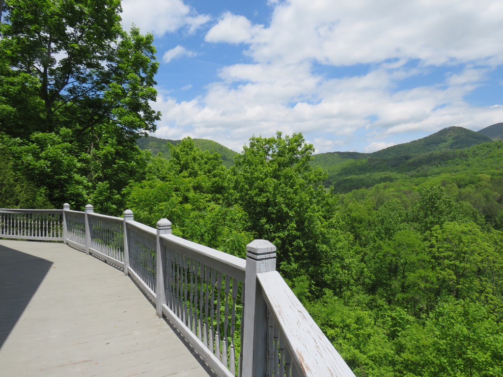 905 Johnson Rd, HIAWASSEE, Georgia image 2