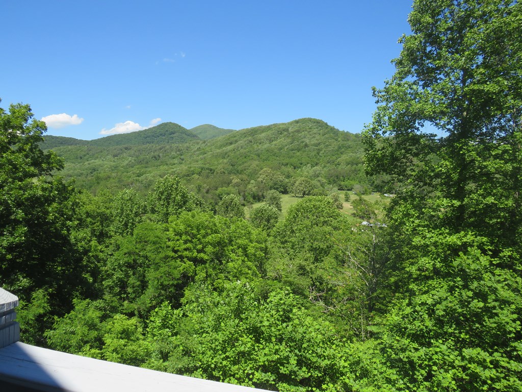 905 Johnson Rd, HIAWASSEE, Georgia image 3