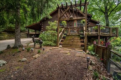 371 Little Rock Creek Court, ELLIJAY, Georgia image 1
