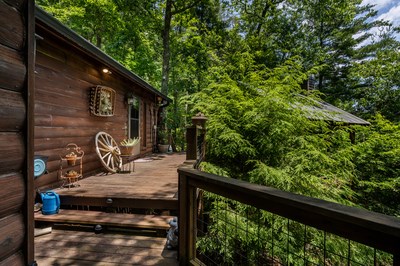 371 Little Rock Creek Court, ELLIJAY, Georgia image 11