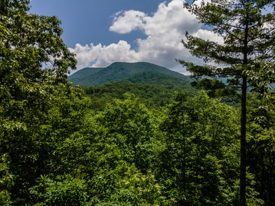 371 Little Rock Creek Court, ELLIJAY, Georgia image 16