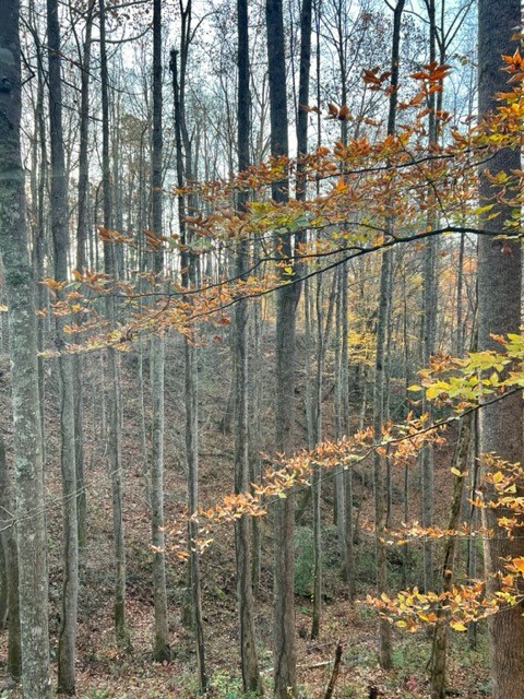 00 Lakeside Terrace, ROBBINSVILLE, North Carolina image 8