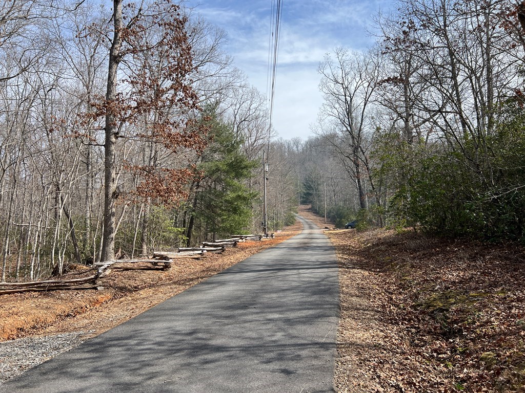 Lts 8&49 Penland Indian Trail #849, HAYESVILLE, North Carolina image 12