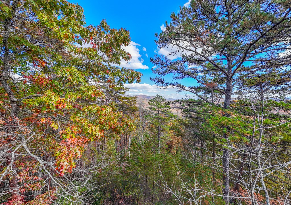 000 Mistletoe Rdg #3, MURPHY, North Carolina image 9