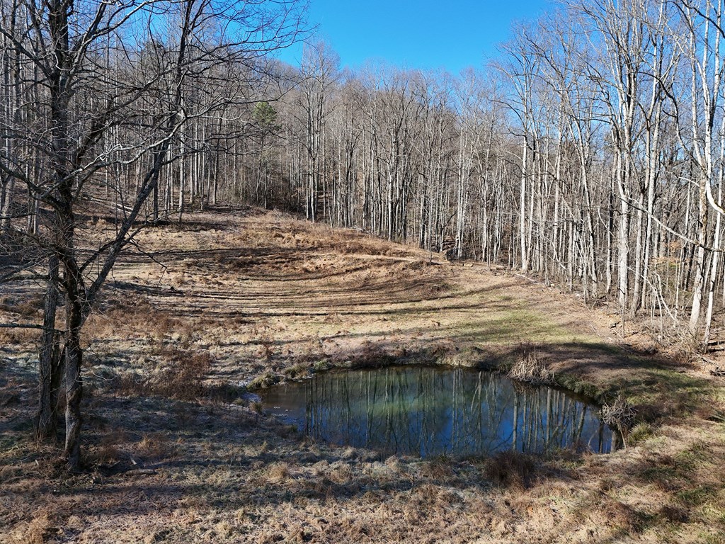 462 Eagle Fork Terrace, HAYESVILLE, North Carolina image 13