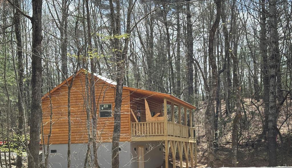 393 Martins Creek Ridge Rd, MURPHY, North Carolina image 7