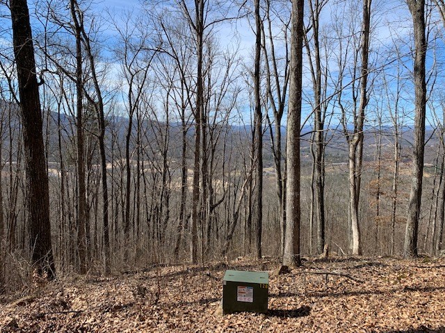 LOT 2 Rocky Knob #2, YOUNG HARRIS, Georgia image 5