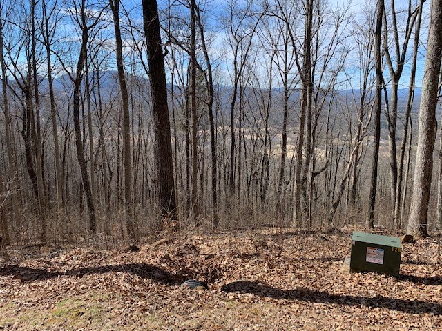 LOT 2 Rocky Knob #2, YOUNG HARRIS, Georgia image 6