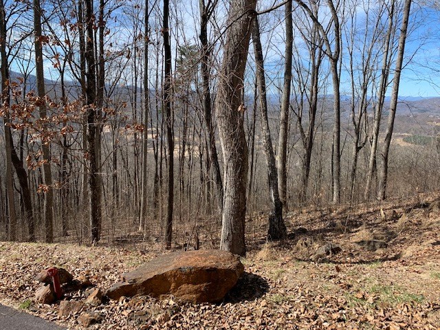 LOT 2 Rocky Knob #2, YOUNG HARRIS, Georgia image 9