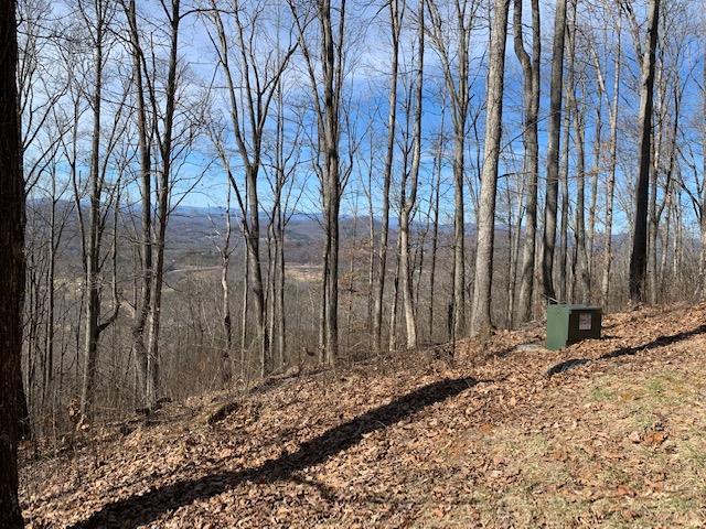 LOT 2 Rocky Knob #2, YOUNG HARRIS, Georgia image 4