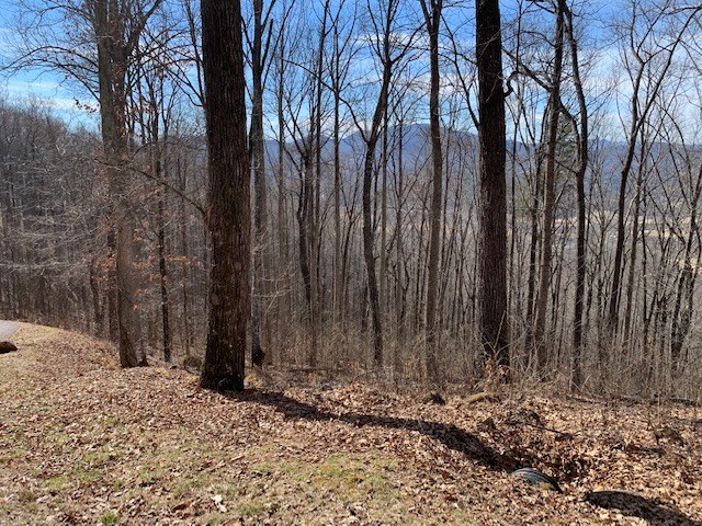 LOT 2 Rocky Knob #2, YOUNG HARRIS, Georgia image 8