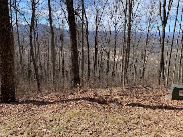 LOT 2 Rocky Knob #2, YOUNG HARRIS, Georgia image 7