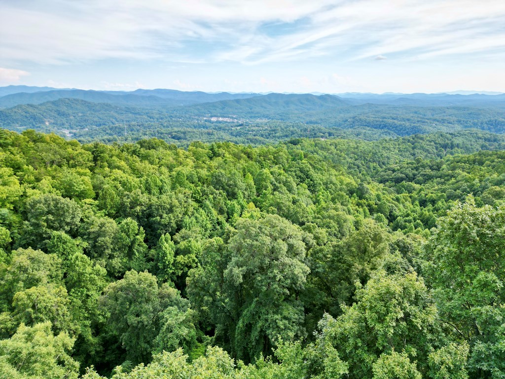 179.88 Fain Peak, MURPHY, North Carolina image 4