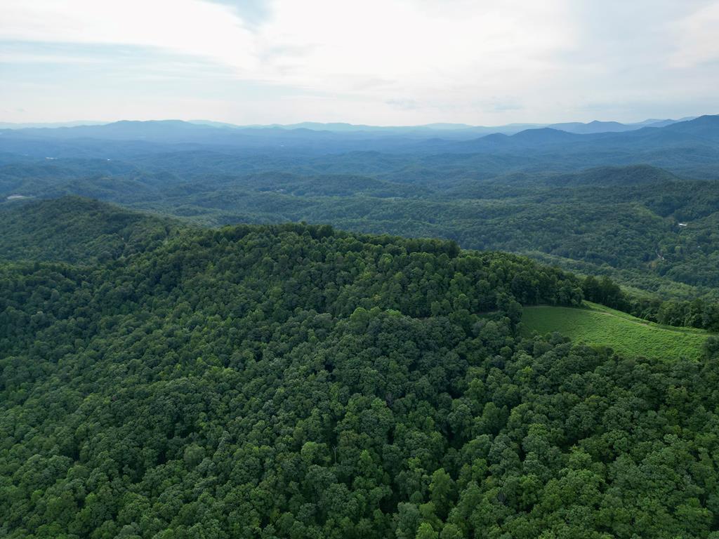 179.88 Fain Peak, MURPHY, North Carolina image 1