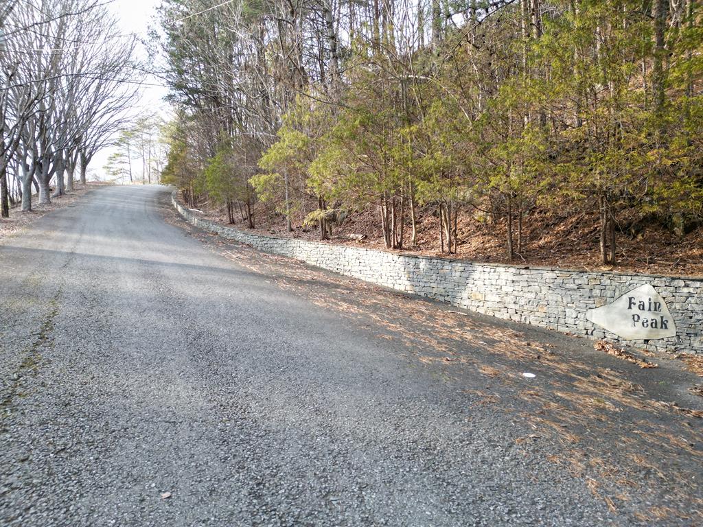 179.88 Fain Peak, MURPHY, North Carolina image 8