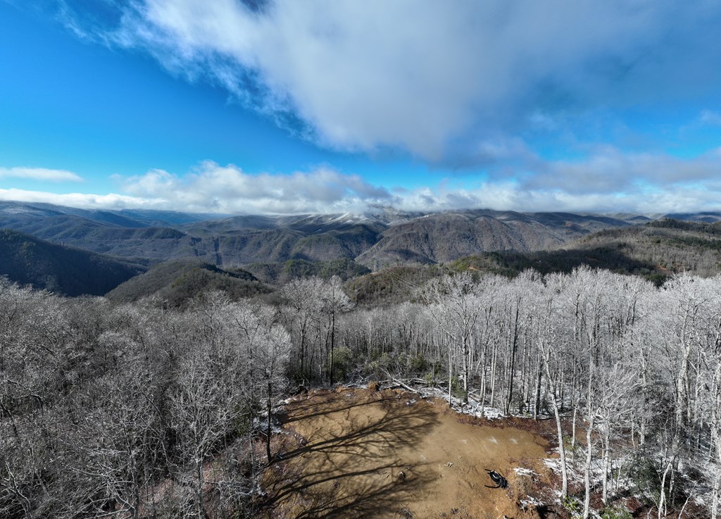 Union Hill Rd, TOPTON, North Carolina image 5