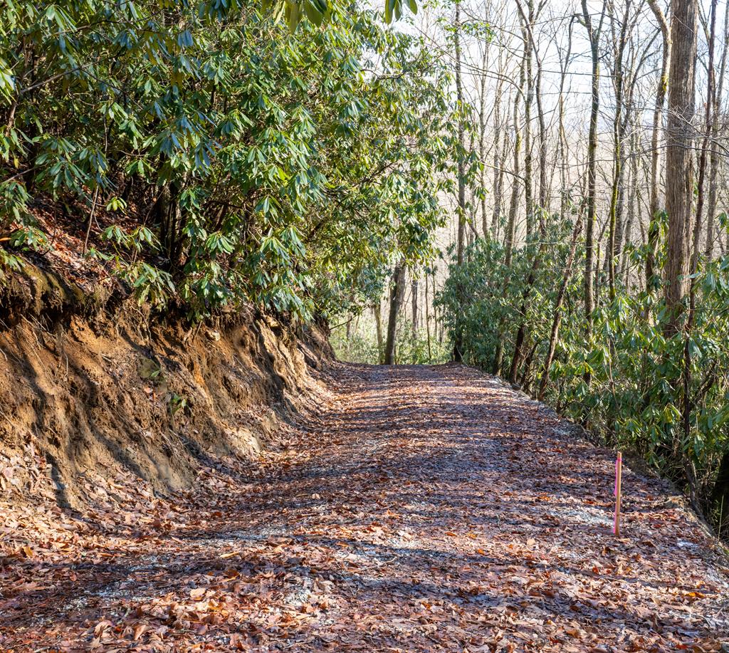 Union Hill Rd, TOPTON, North Carolina image 10