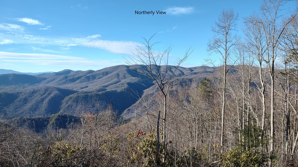 Union Hill Rd, TOPTON, North Carolina image 8