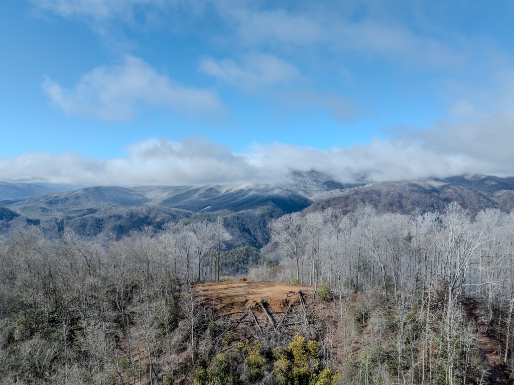 Union Hill Rd, TOPTON, North Carolina image 3