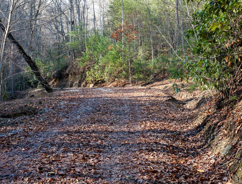 Union Hill Rd, TOPTON, North Carolina image 9