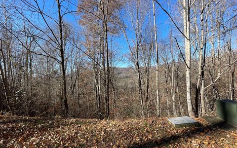 Vacant Land For Sale - LOT 36M Mountain Harbour #36M<br/> HAYESVILLE, NC 28904