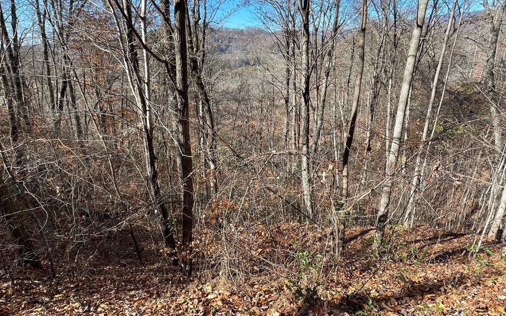 Lot 36M Mountain Harbour #36M, HAYESVILLE, North Carolina image 21