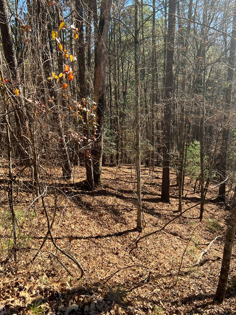 Carlisle Dr #2902, ELLIJAY, Georgia image 8