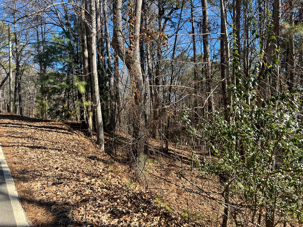 Carlisle Dr #2902, ELLIJAY, Georgia image 3