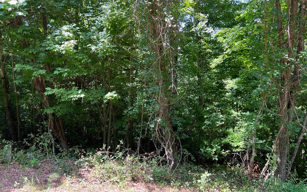 Lot 58 Fires Creek Cove #58, HAYESVILLE, North Carolina image 9