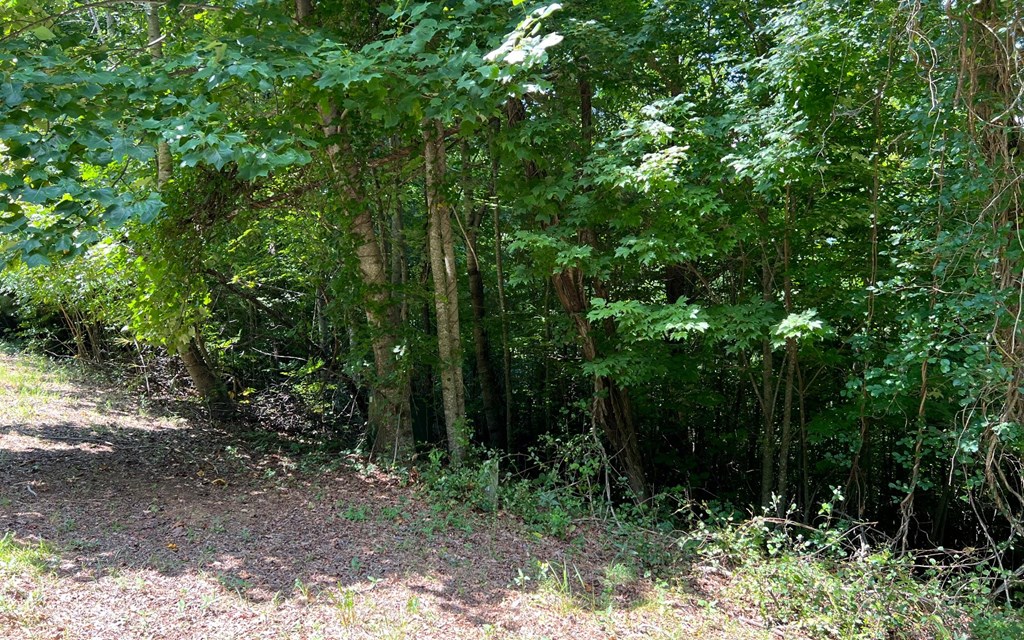 Lot 58 Fires Creek Cove #58, HAYESVILLE, North Carolina image 10