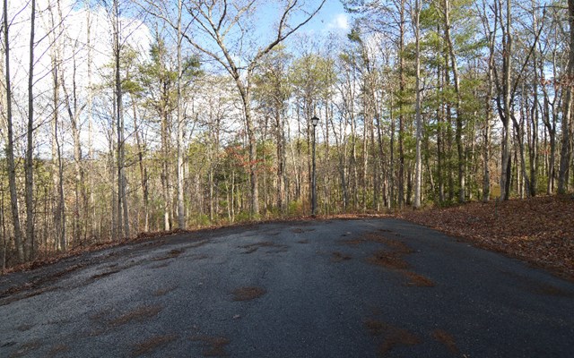 Lot 26 Coosa Bend #26, BLAIRSVILLE, Georgia image 3