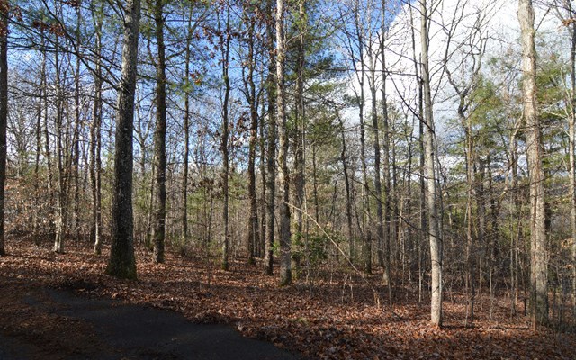 Lot 26 Coosa Bend #26, BLAIRSVILLE, Georgia image 6