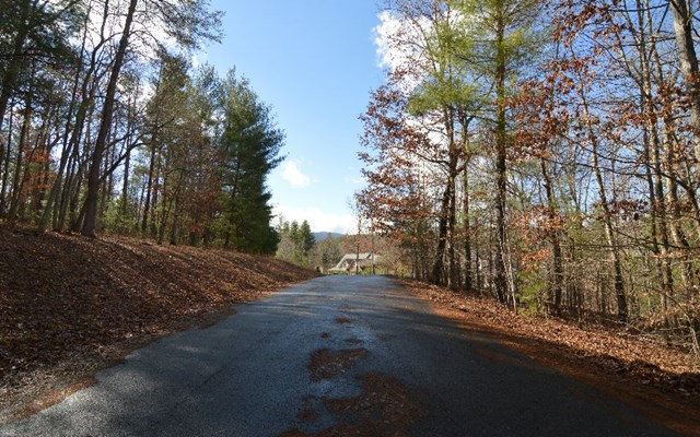 Lot 26 Coosa Bend #26, BLAIRSVILLE, Georgia image 1