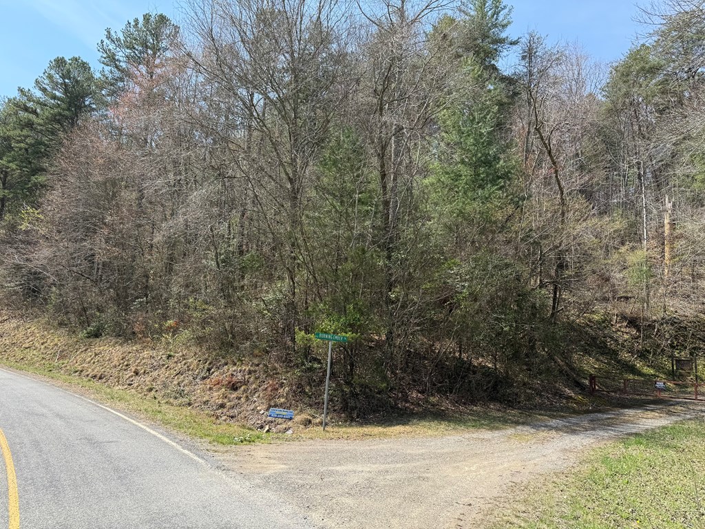 Morrow Road, MURPHY, North Carolina image 2