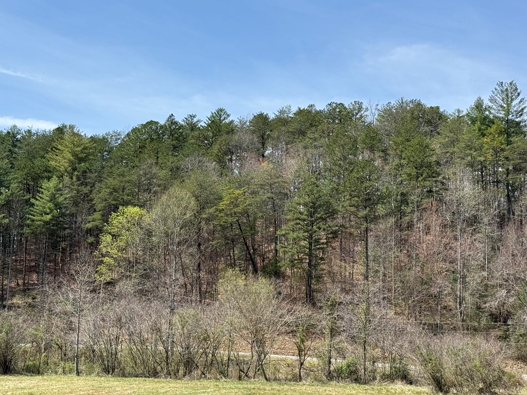 Morrow Road, MURPHY, North Carolina image 3