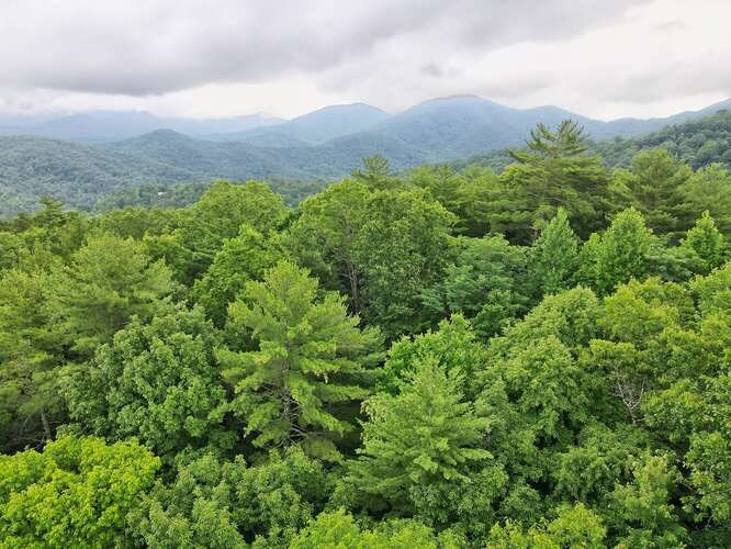 35 AC Top Horseshoe Ridge, MURPHY, North Carolina image 5