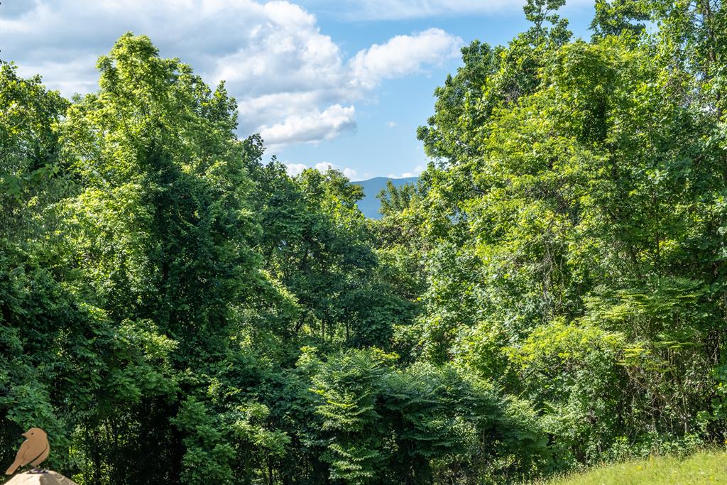 1379 Crystal Springs Rd, MURPHY, North Carolina image 39