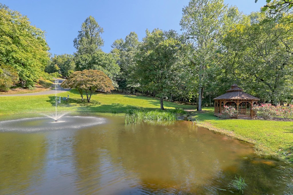 Lot 23 Shelton Springs #23, HAYESVILLE, North Carolina image 10