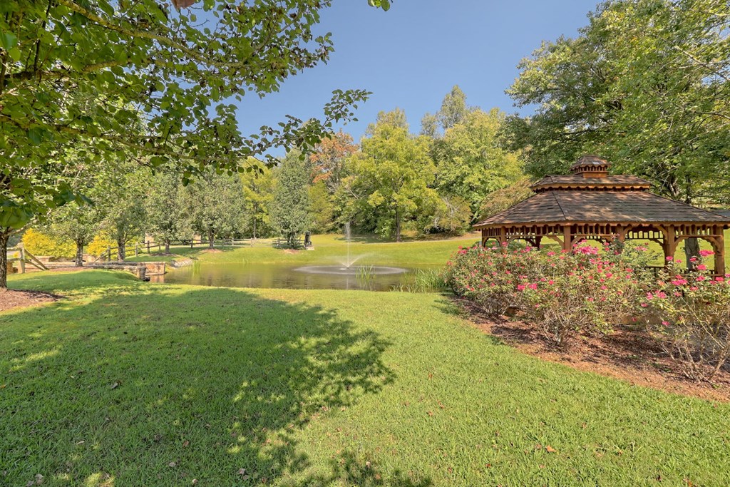 Lot 23 Shelton Springs #23, HAYESVILLE, North Carolina image 11