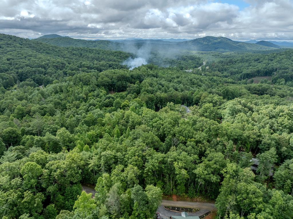 Lot 18 Gray Grouse Trail #18, MURPHY, North Carolina image 1