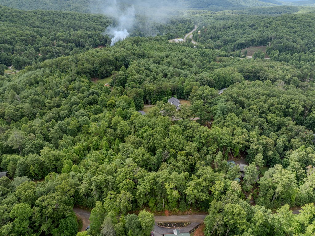 Lot 18 Gray Grouse Trail #18, MURPHY, North Carolina image 3