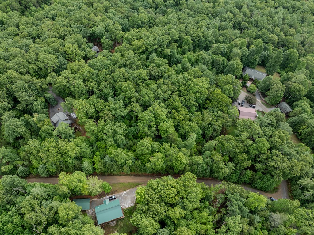 Lot 18 Gray Grouse Trail #18, MURPHY, North Carolina image 2