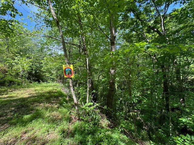 Lot 15 Paradise Mountain #15, MARBLE, North Carolina image 1