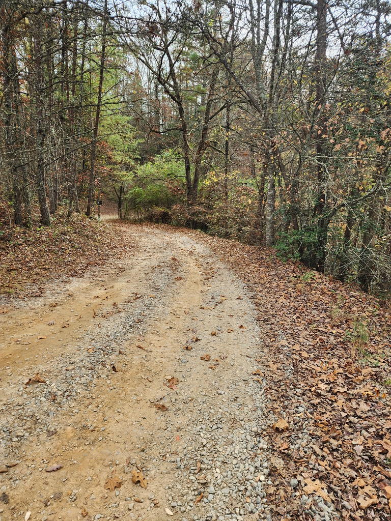 1924 Cook Bridge Road, MURPHY, North Carolina image 6