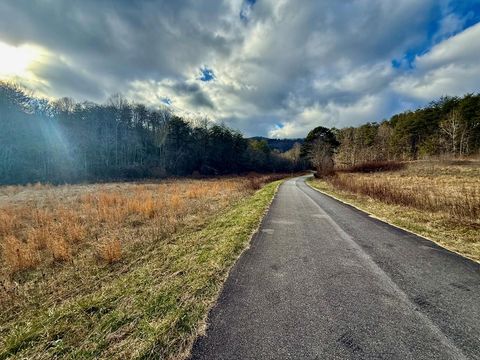 Vacant Land For Sale - Cedar Springs Road<br/> Polk County, TURTLETOWN, TN 37391