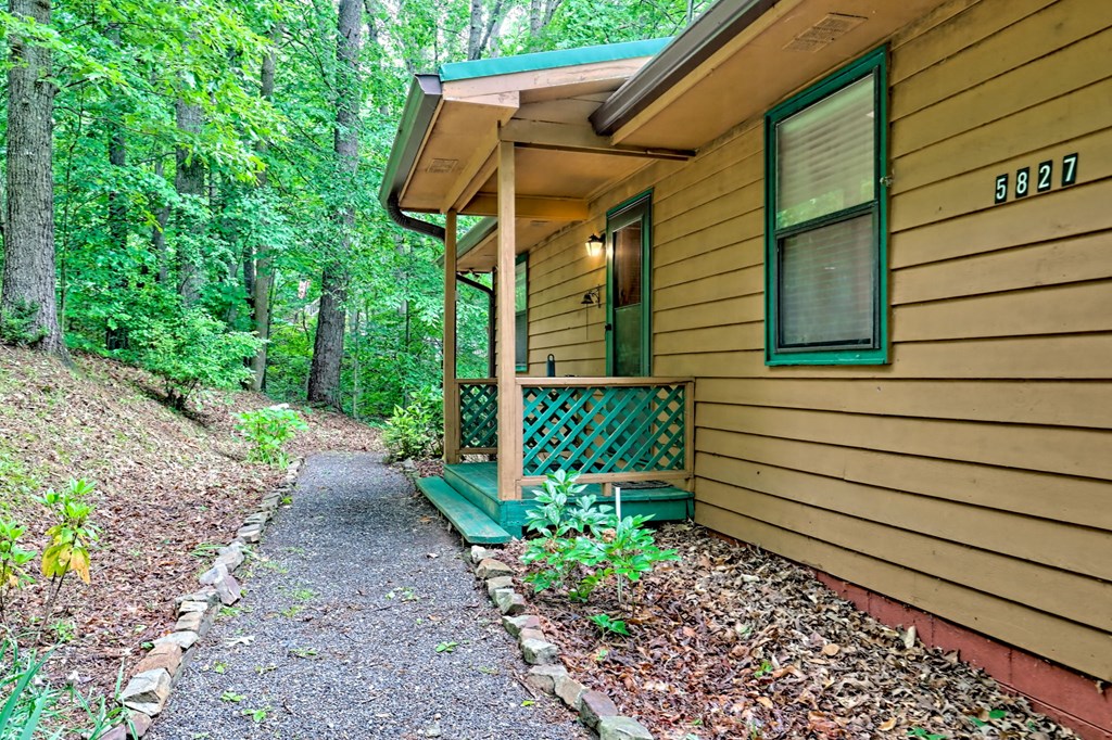 5827 Brasstown Creek Est, YOUNG HARRIS, Georgia image 4