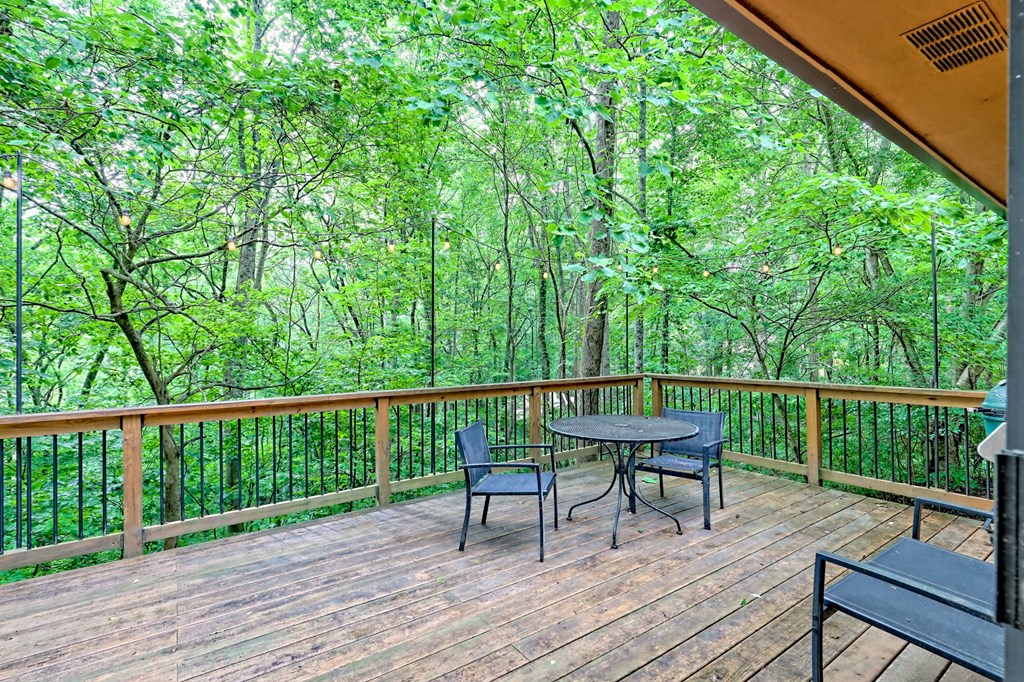 5827 Brasstown Creek Est, YOUNG HARRIS, Georgia image 10