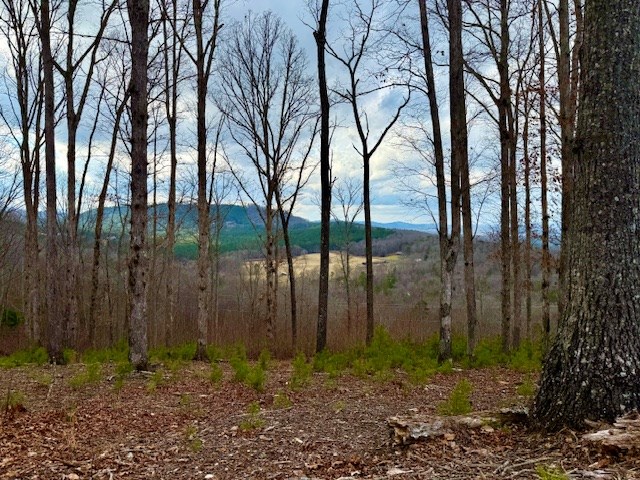 Winding Ridge Rd #90, BLAIRSVILLE, Georgia image 13