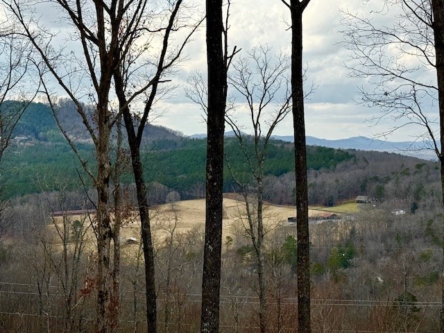 Winding Ridge Rd #90, BLAIRSVILLE, Georgia image 9